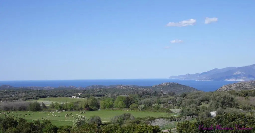 La Canardiere