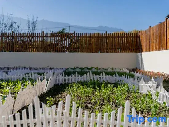 Suli Yinxie Seaview Vacation Guesthouse (Dali Longkan Wharf Branch)