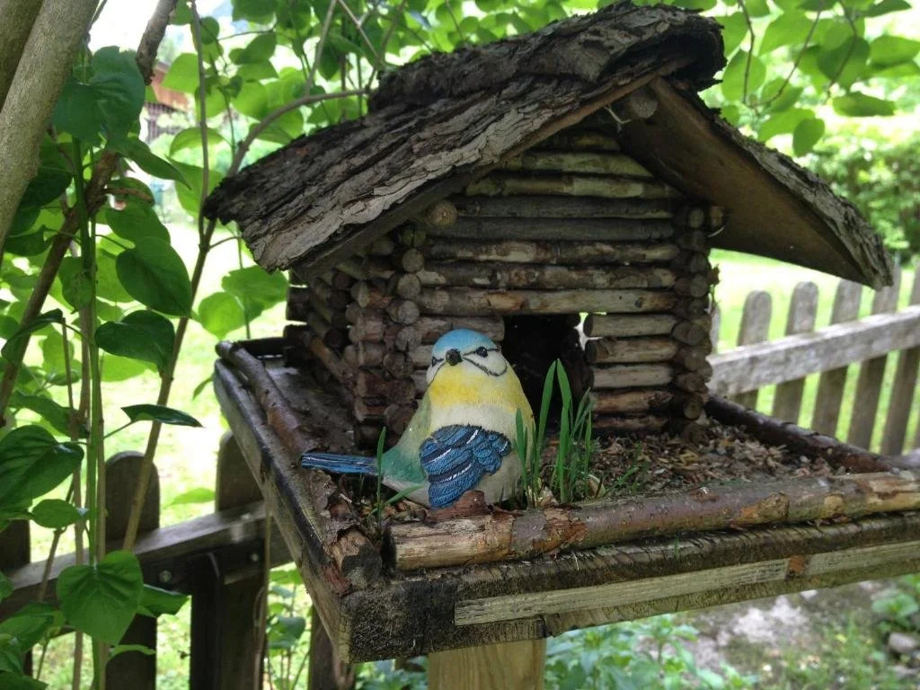 Haus Tasser