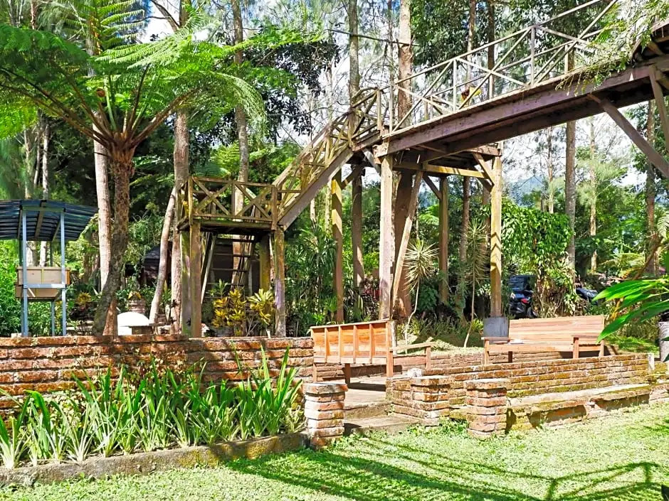 Oak Tree Bali
