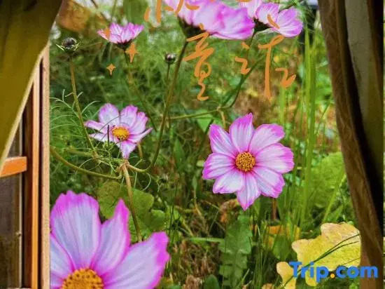 Zhuyu Anxuan Homestay