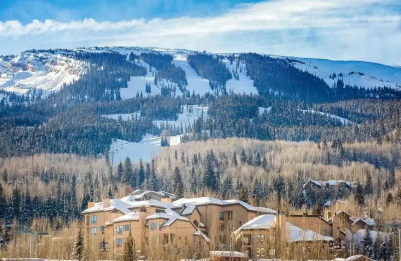 Spacious Ski in, Ski out 3 Bedroom Vacation Rental Next to the Gondola Featuring Slopeside Heated Outdoor Pool and Hot Tub