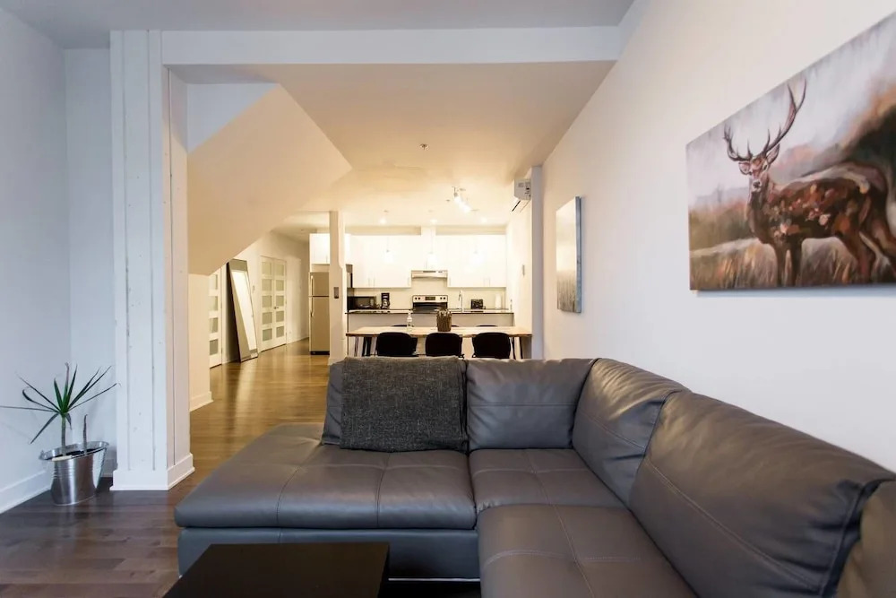 Huge Industrial Loft Near Mont-royal Metro