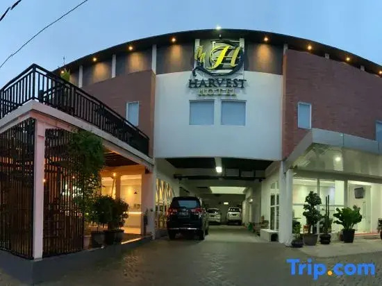 Harvest Hotel Purwodadi
