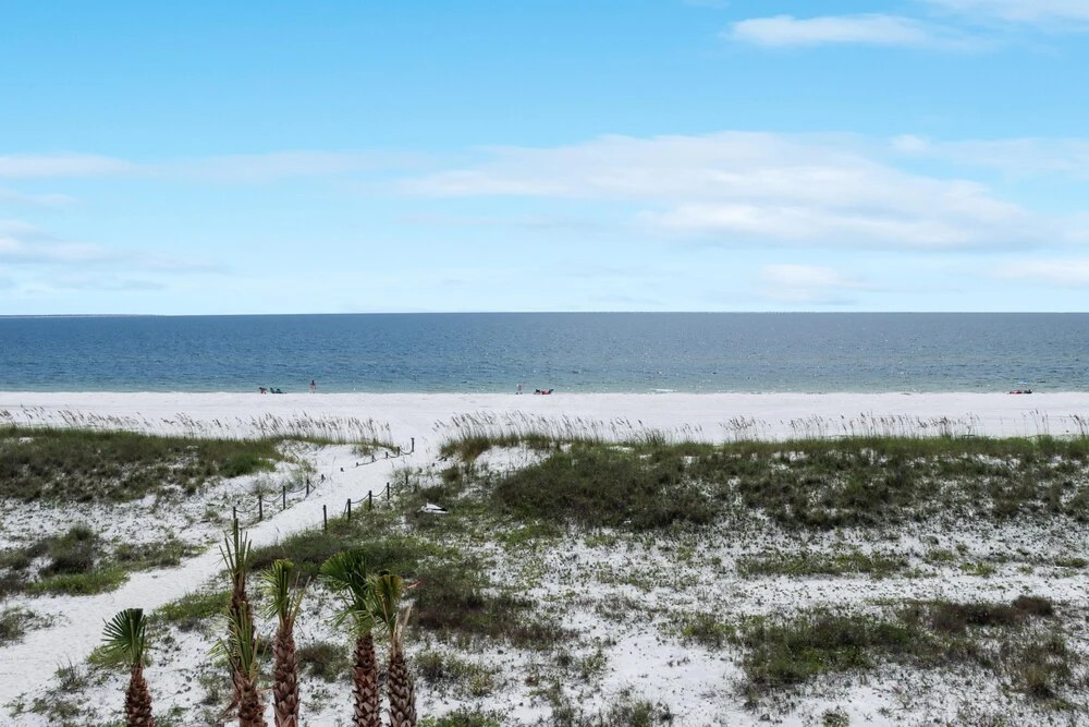 Pelican Roost E