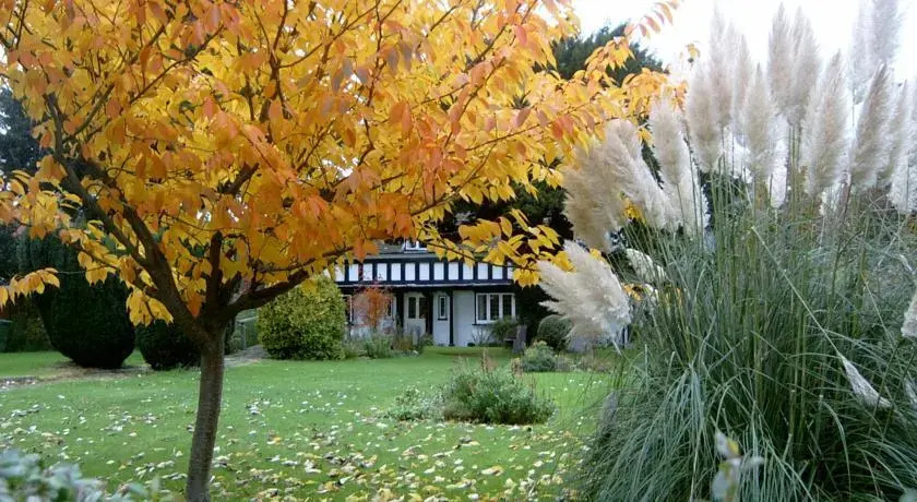 The Harbour Guest House