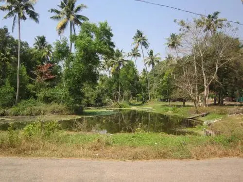 Angels homestay Marari