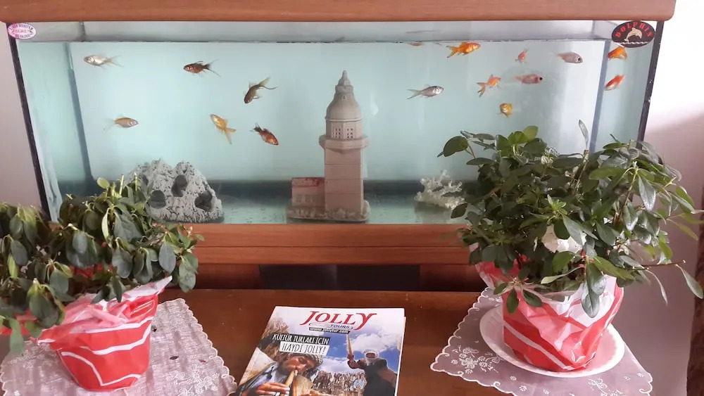 Le Mansion Otel