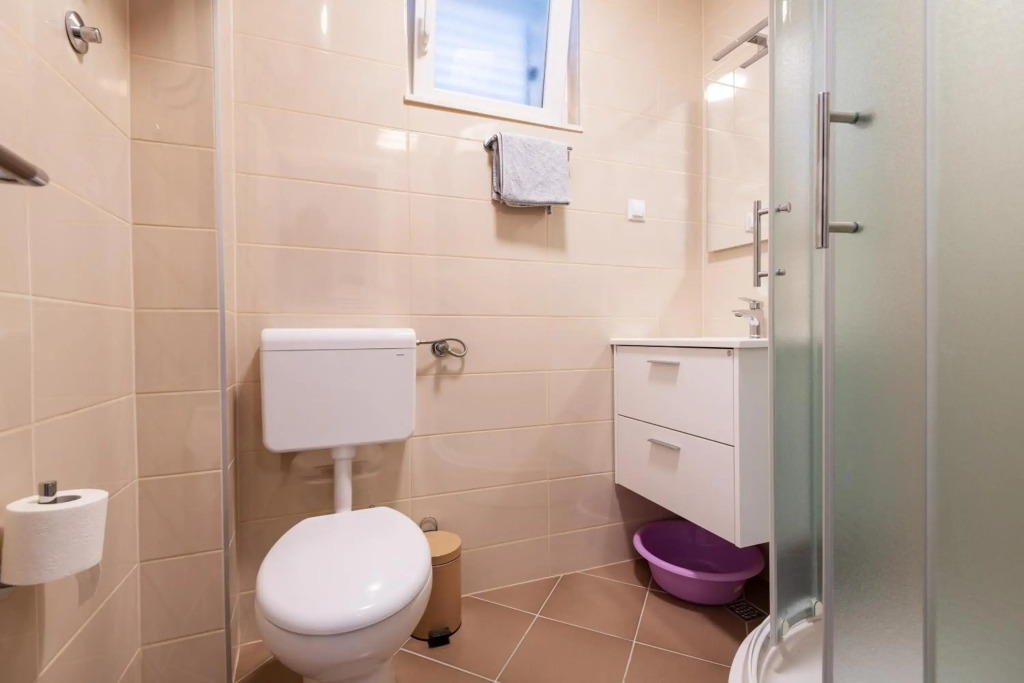 Apartments & rooms Leon