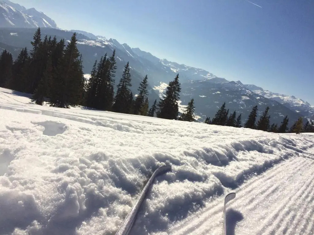 Zur lieben Sonne