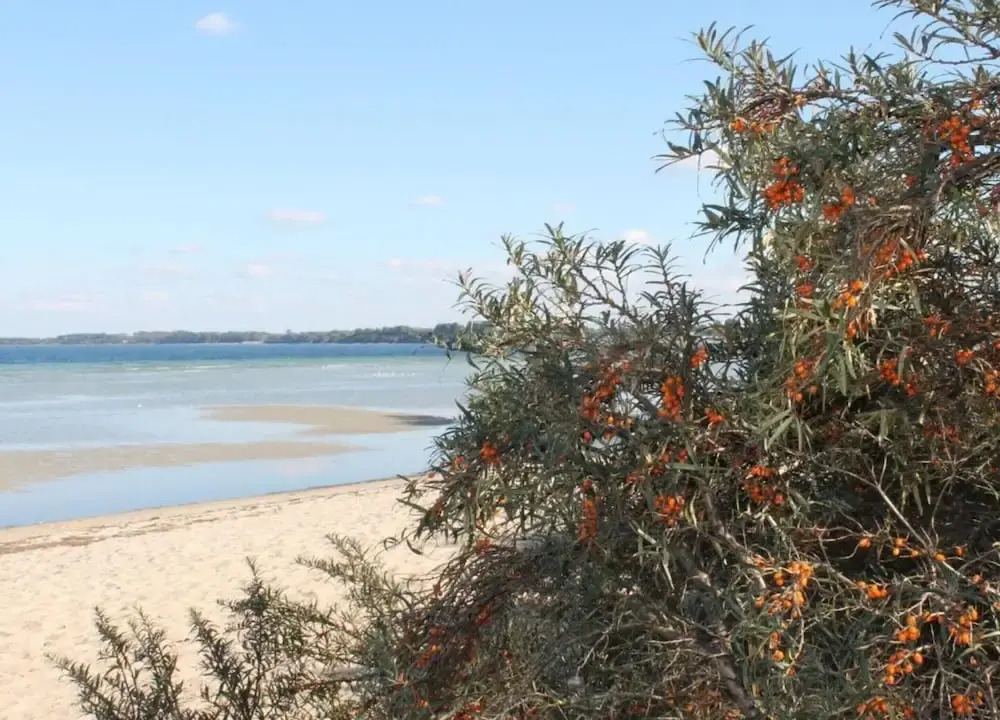 Spacious Bungalow near Sea in Grundshagen