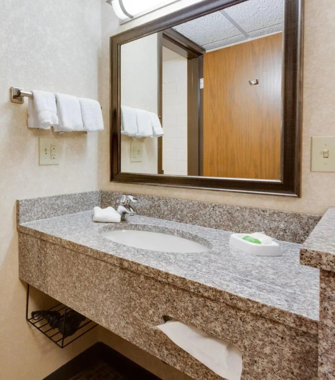 Wingate by Wyndham St Louis-Fenton Route 66
