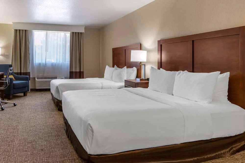Comfort Inn & Suites I-90 City Center
