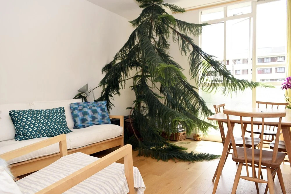 2 Bedroom Central London Apartment By Hyde Park