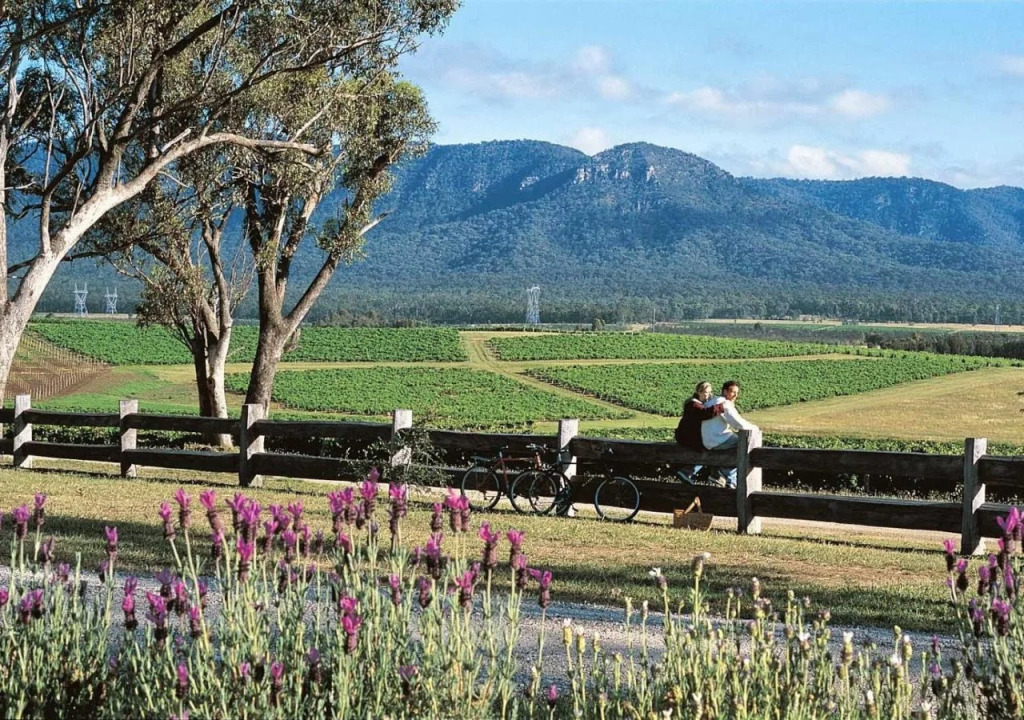Berenbell Vineyard Retreat