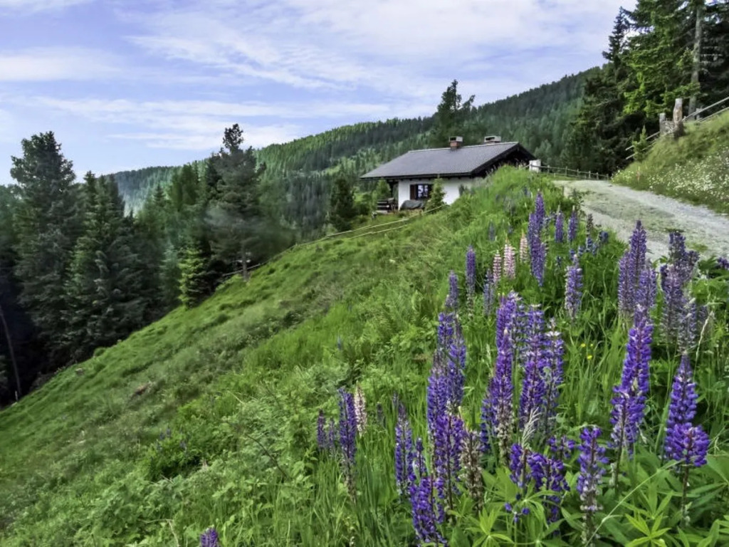 House Lotte Sirnitz - Hochrindl