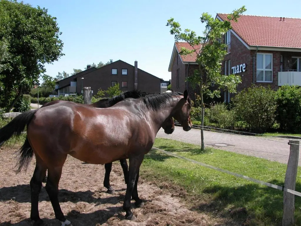Suiten-Hotel mare Langeoog