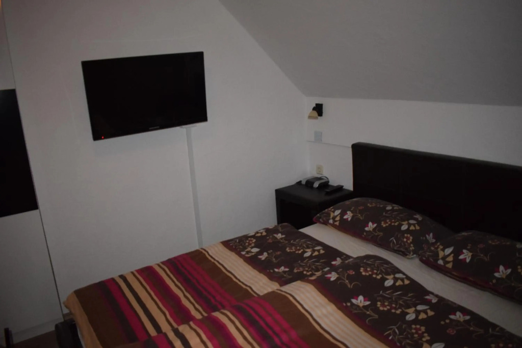 Apartment Borovnica