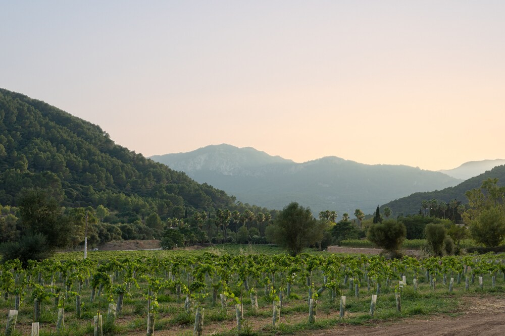 Rondaia Boutique Vineyard Stay – Mallorca, Tramuntana