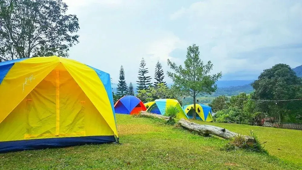 Phulikit View