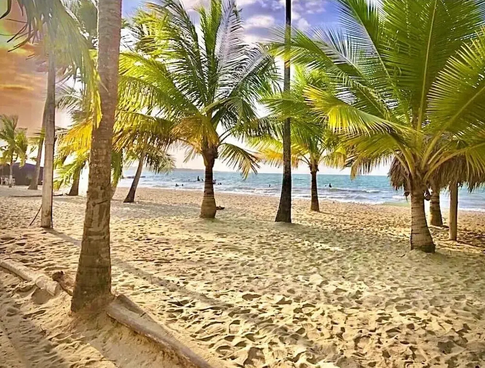 Escapada Perfecta en Apartasuites Privadas Coveñas