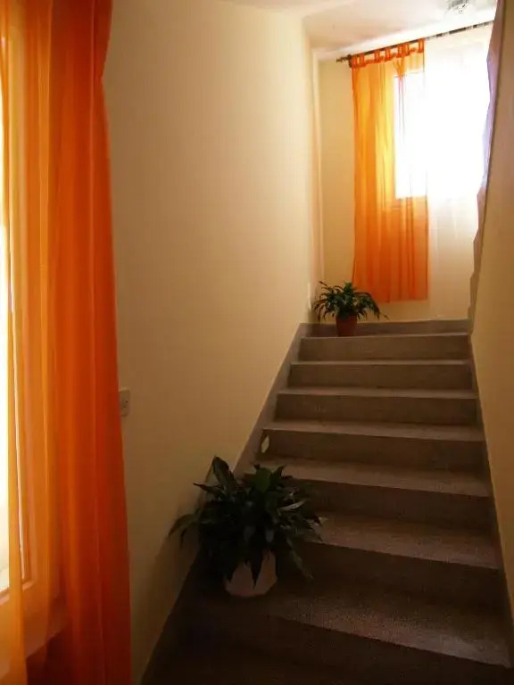 Apartment Dudic