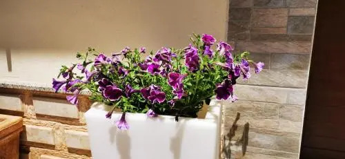 Perla del Sud - Guest House
