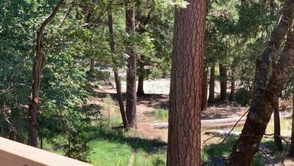 Yosemite Scenic Wonders Along the River