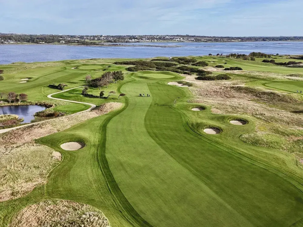 The Hawthorn by Galway Bay