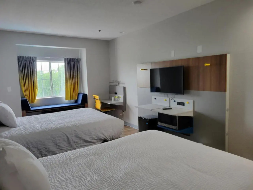 Microtel Inn & Suites by Wyndham Stockbridge/Atlanta I-75