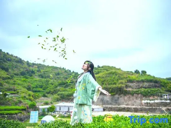 JunxinziYue yunsu