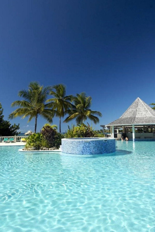 Starfish Tobago