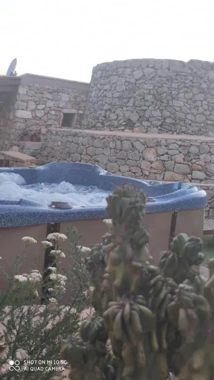 Trullo "Il fico dindia"