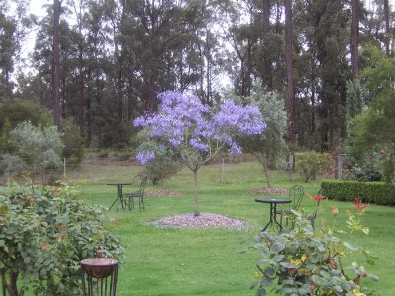 Rosedale Bed and Breakfast