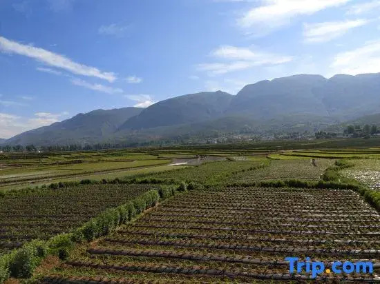 Shaxi Ancient Town Tianpan Homestay