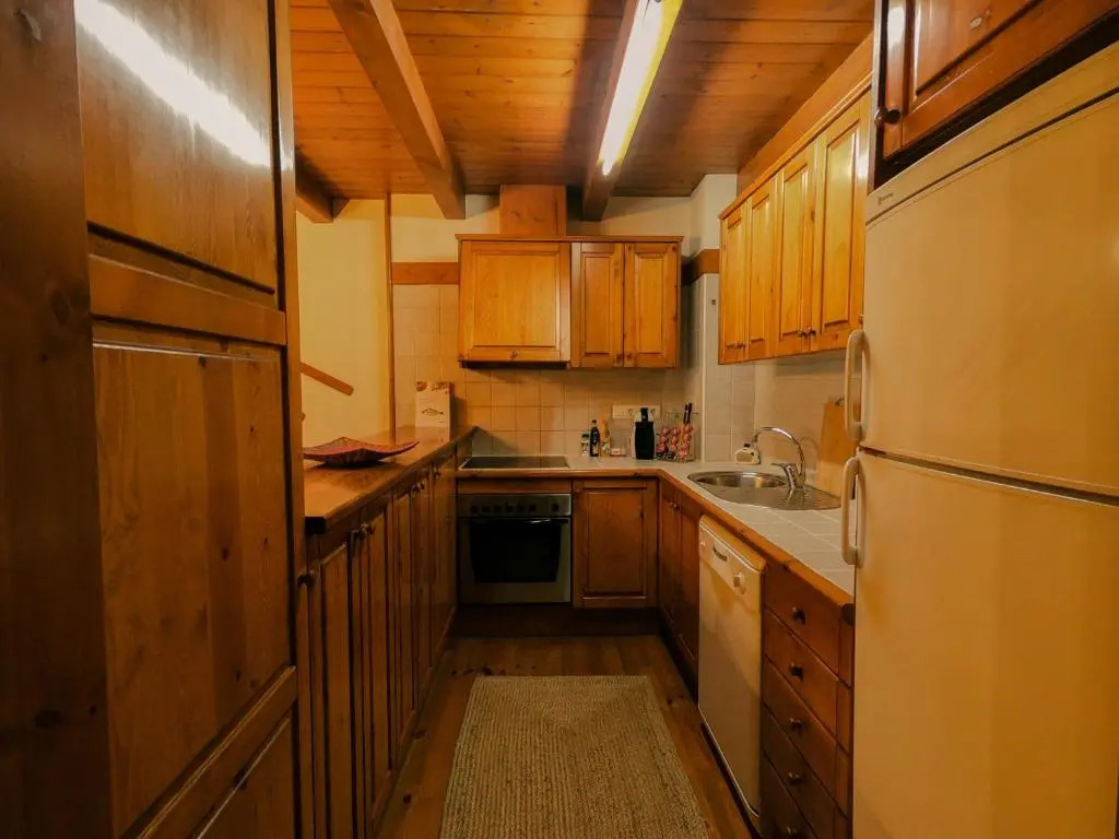 Apartamento Aneto