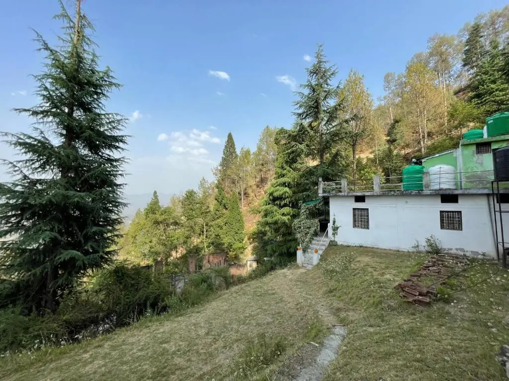 Green garden homestay
