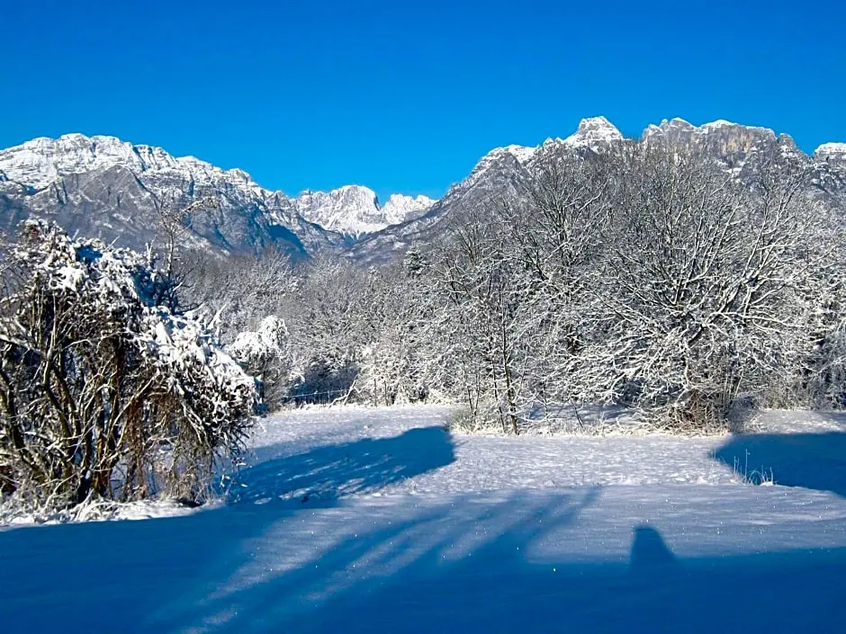 B&b Col del Vin