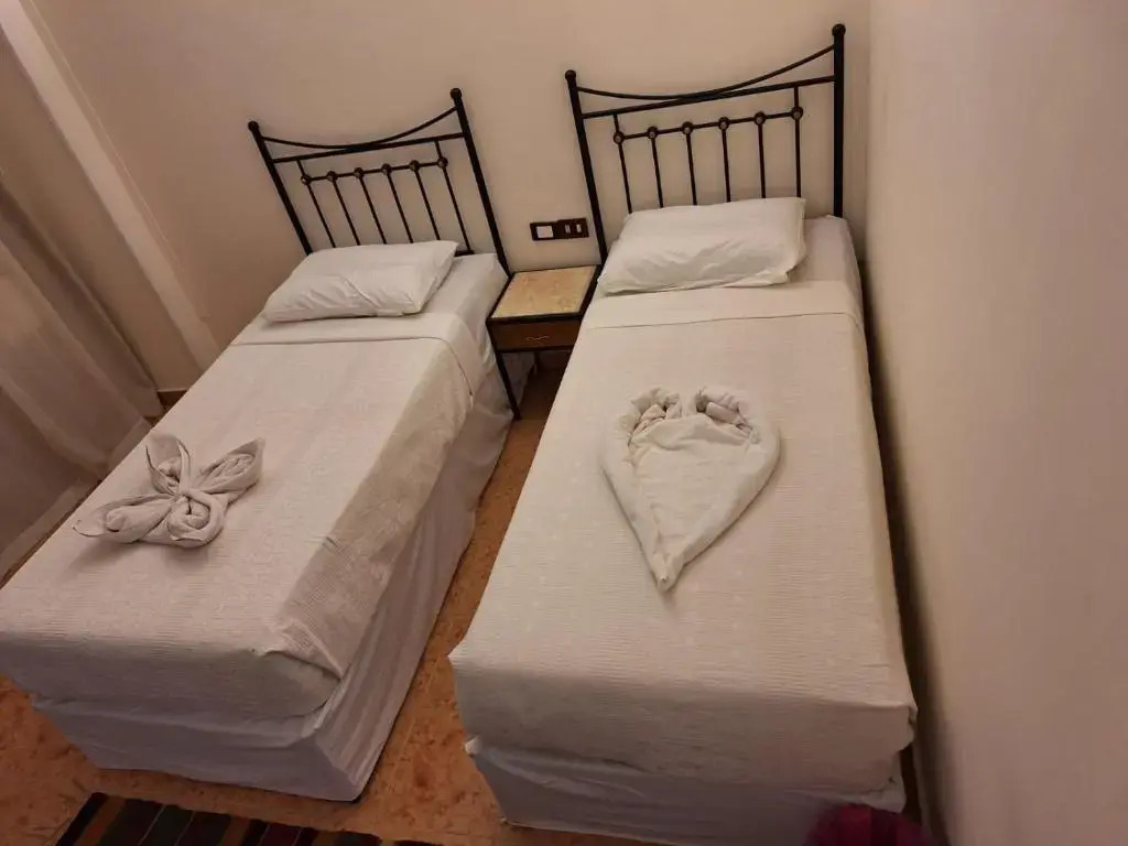 Dolphin Hotel Safaga