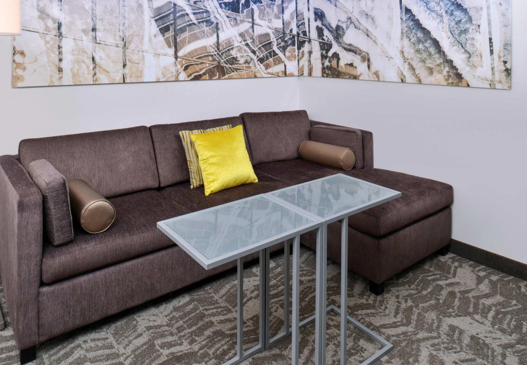 Springhill Suites by Marriott Detroit Metro Airport Romulus