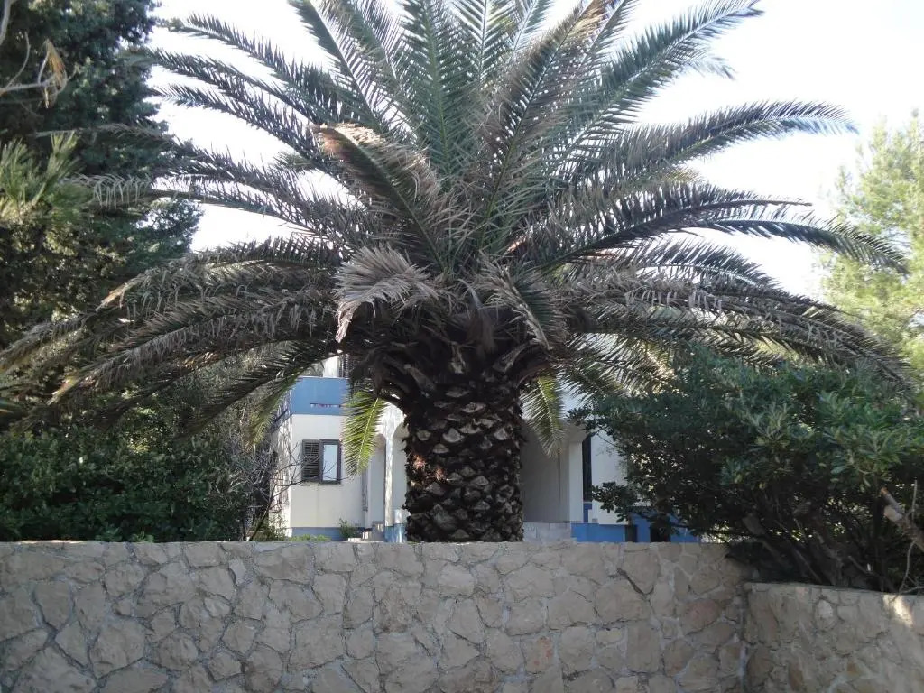 Holiday Home Mirna