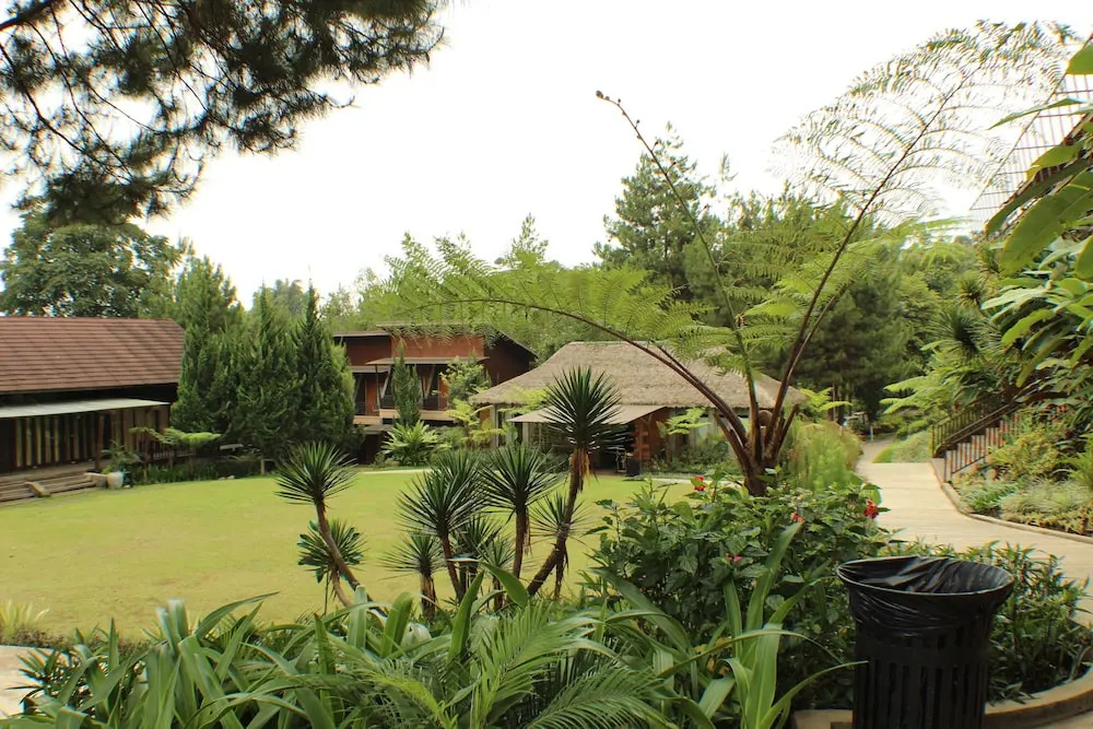 Green Forest Resort & Wedding by Horison