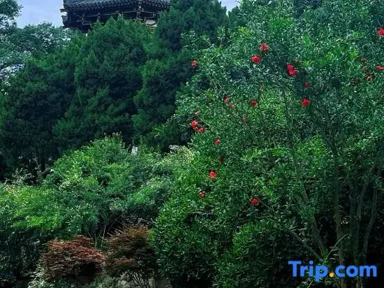 Starway Hotel Xi An Gaoxin Provincial Sports Train