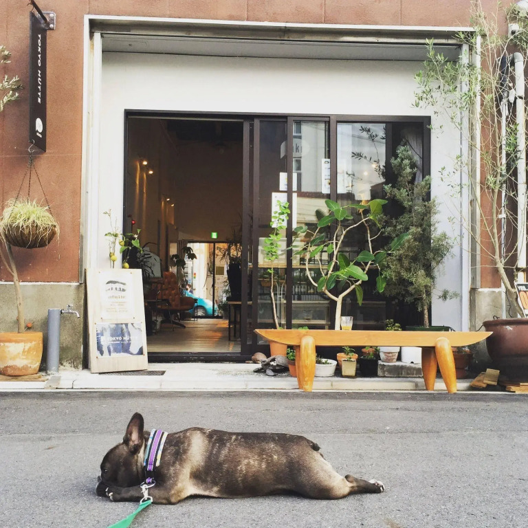 Tokyo Hütte - Hostel