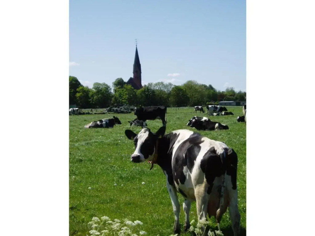 Ferienwohnung HEIN am Nordseedeich