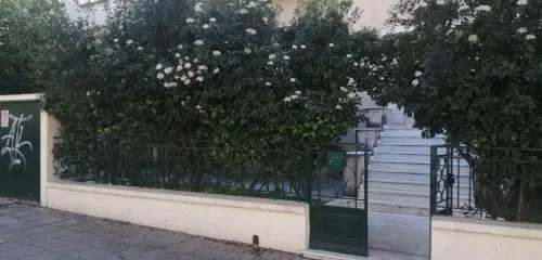 The Athenian House -Duxiana bed