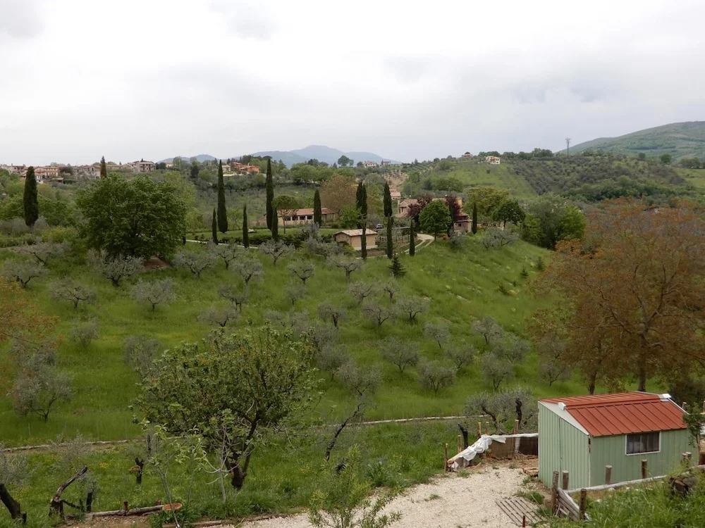 Il Gelsomino