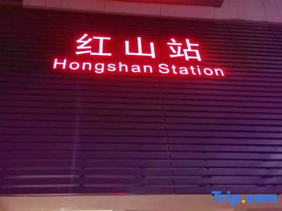 泊金青年旅舍-深圳北站店