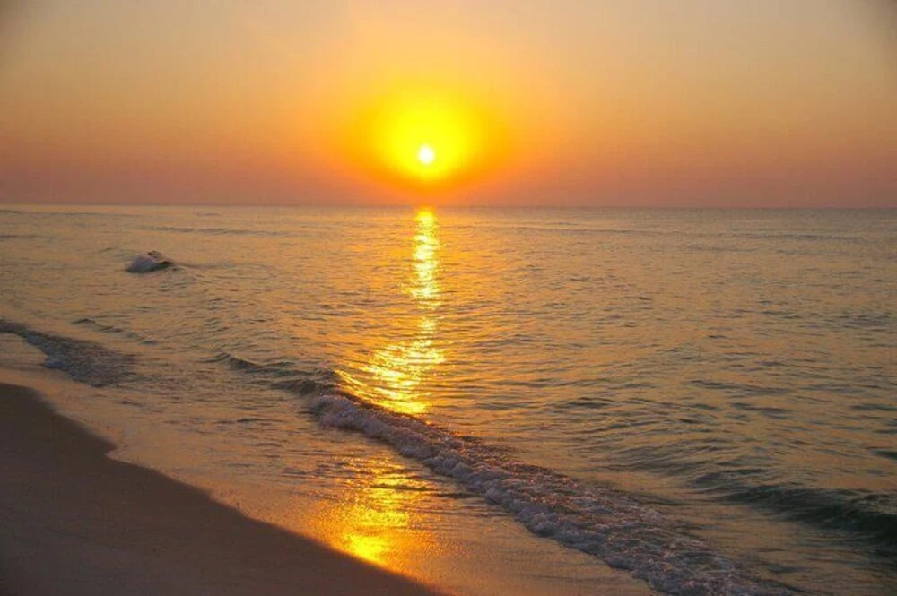 Perdido Key Condo #d11 3 Bedrooms 2 Bathrooms Condo