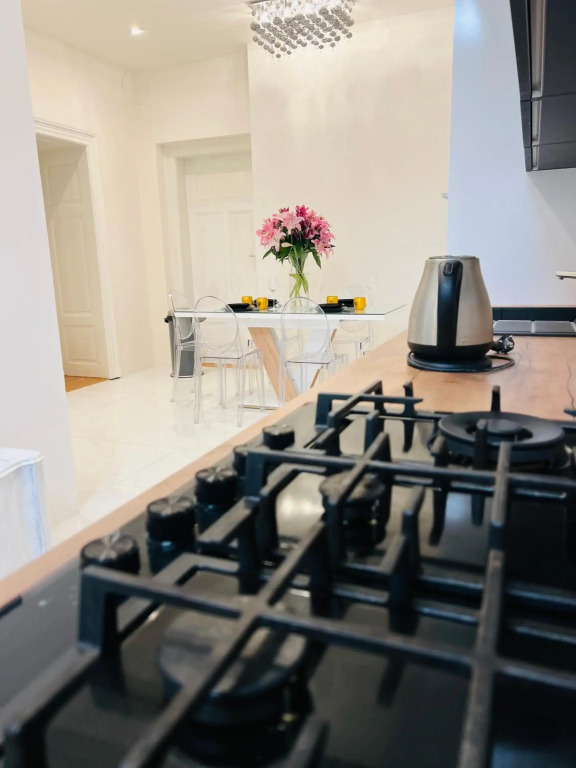 Historical 150 m2 Wenceslas square apartment